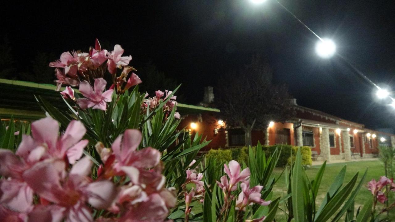 Finca Entrevinedos De Bodegas Marcos Peñafiel Dış mekan fotoğraf